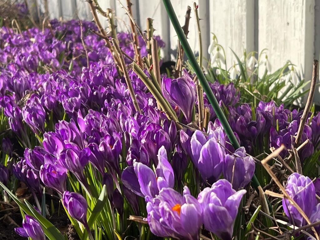 Våren är här låt livet sprudla ikapp med Linda Hammarstrands filosofi!