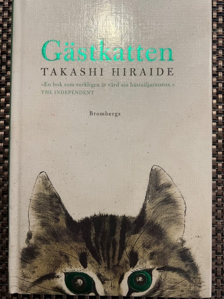 Katten kikar in och säger: Hello livet!